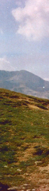 header links